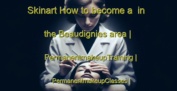 Skinart How to become a  in the Beaudignies area | PermanentmakeupTraining | PermanentmakeupClasses | SkinartTraining-France
